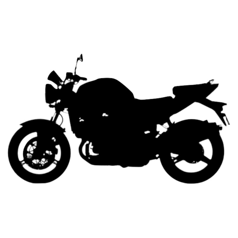 Vignette Suzuki SV 1000