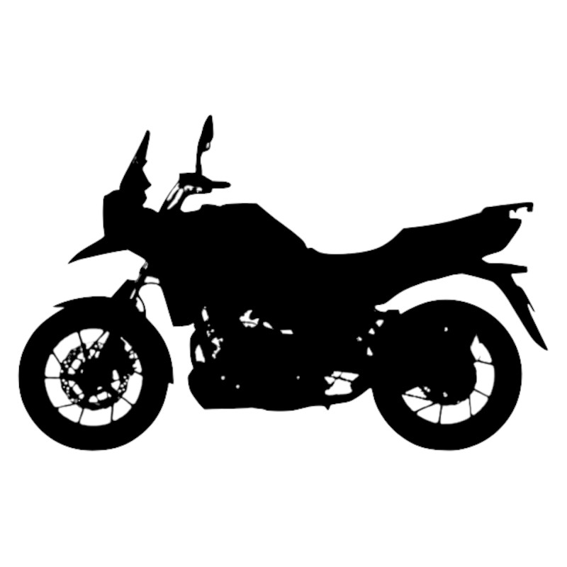 Vignette Suzuki DL 250 V-Strom