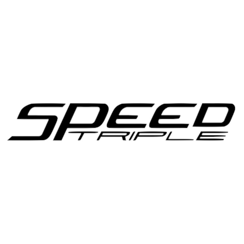 Vignette Triumph Speed Triple
