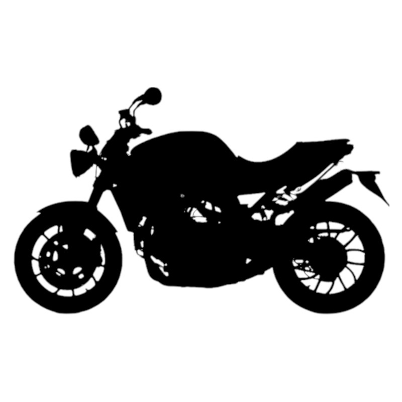 Triumph 1050 Speed Triple Modification Motorcycles