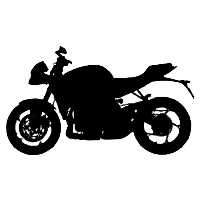 Triumph 660 Speed Triple S Modification Motorcycles