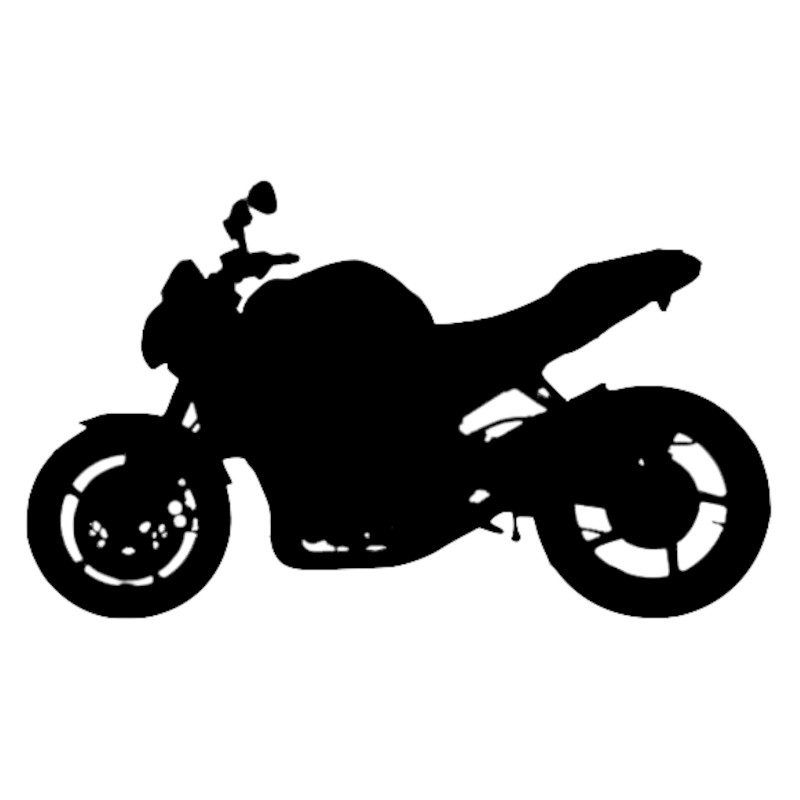 Vignette Yamaha 1000 FZ1 N
