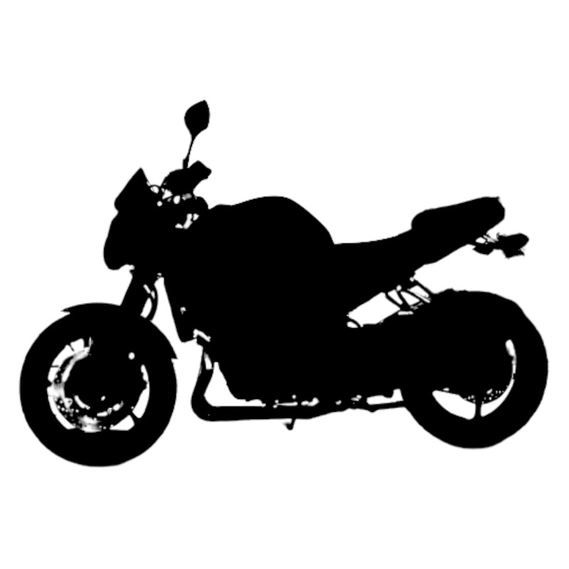 Vignette Yamaha 800 FZ8 N