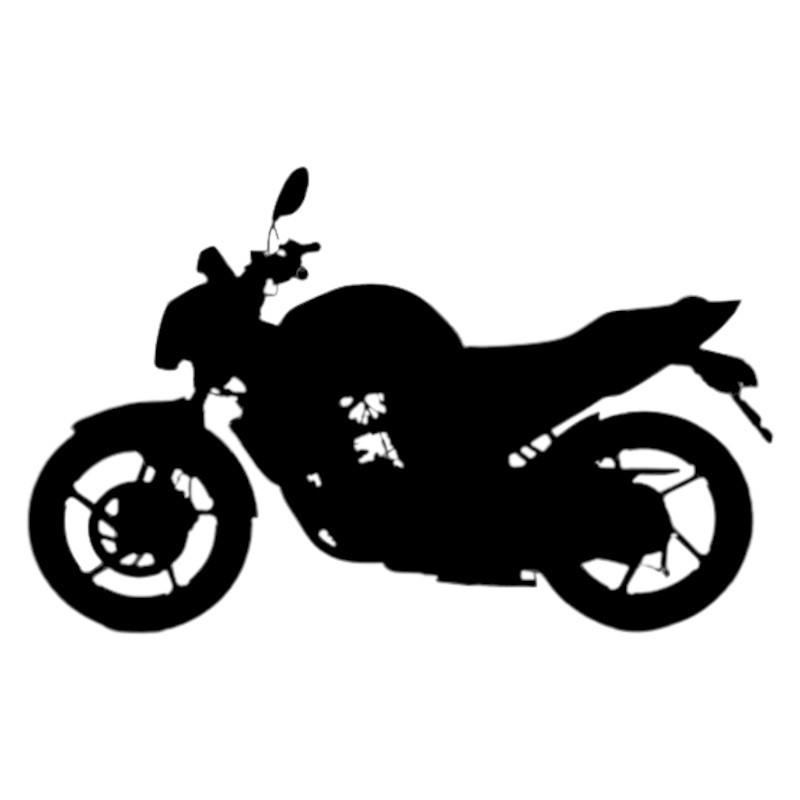 Vignette Yamaha FZ 16 Byson 160