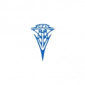 C.P.V.
